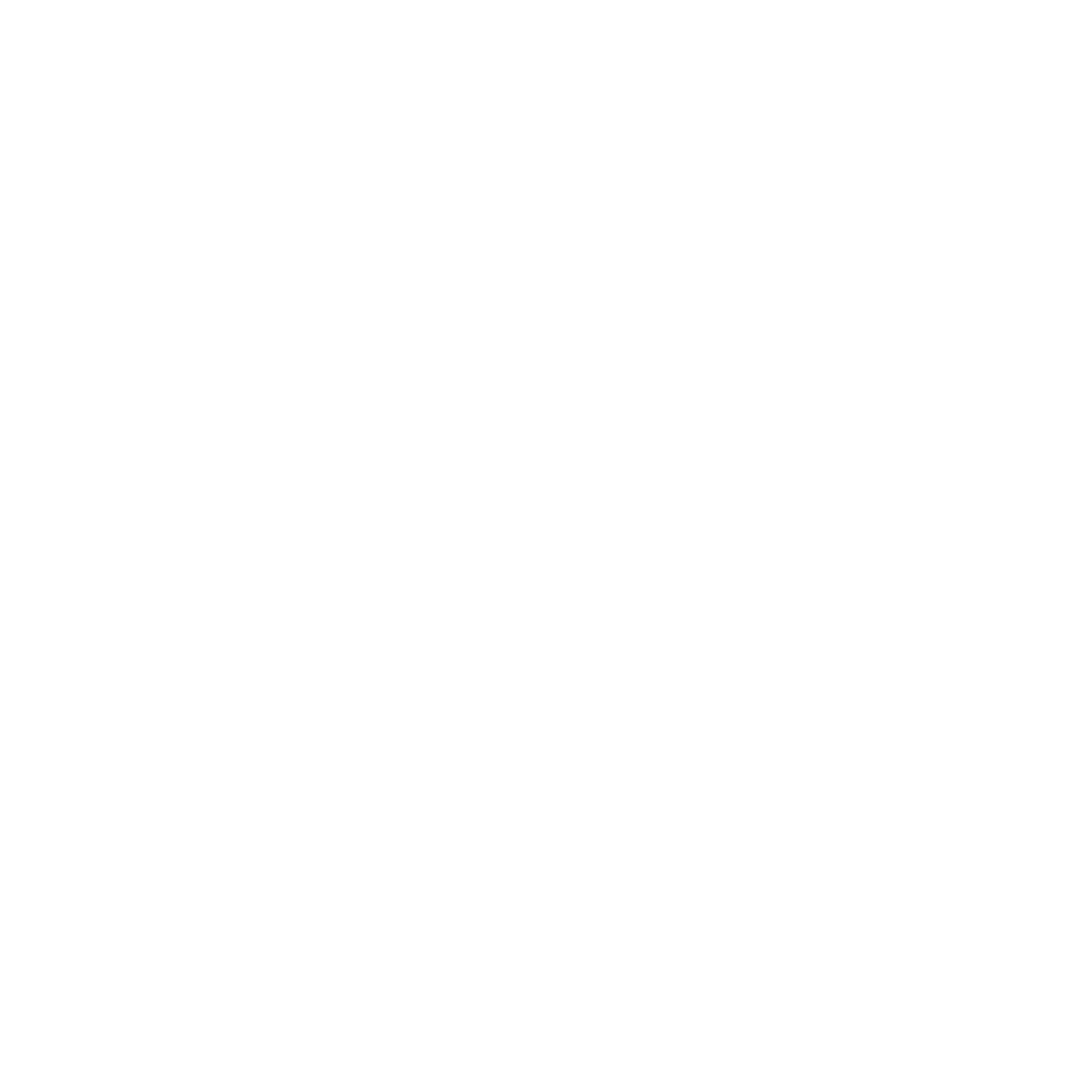 Assault Fitness equipment brand logo — ZOR Fitness facility partners, Denver CO