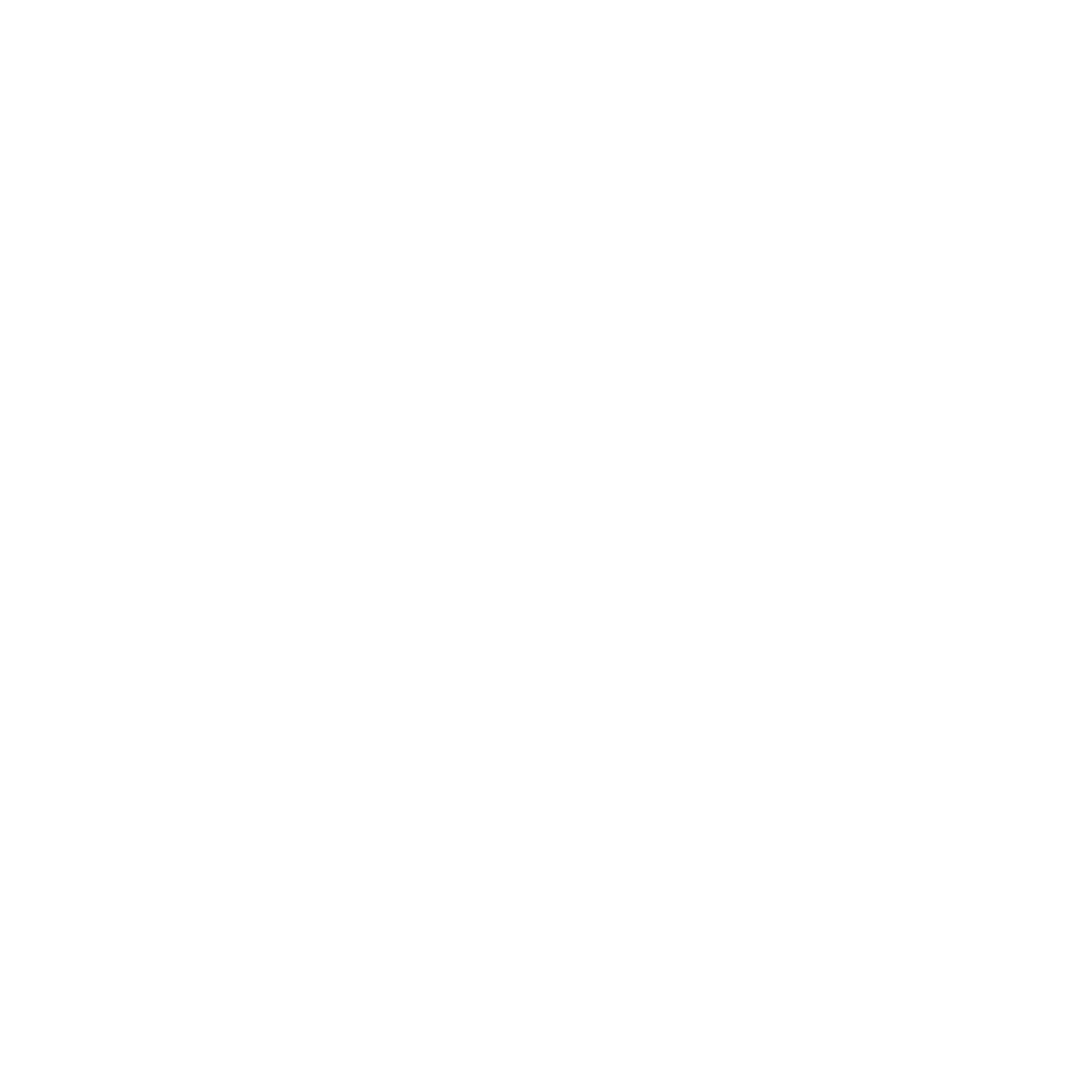 Force USA equipment brand logo — ZOR Fitness facility partners, Denver CO