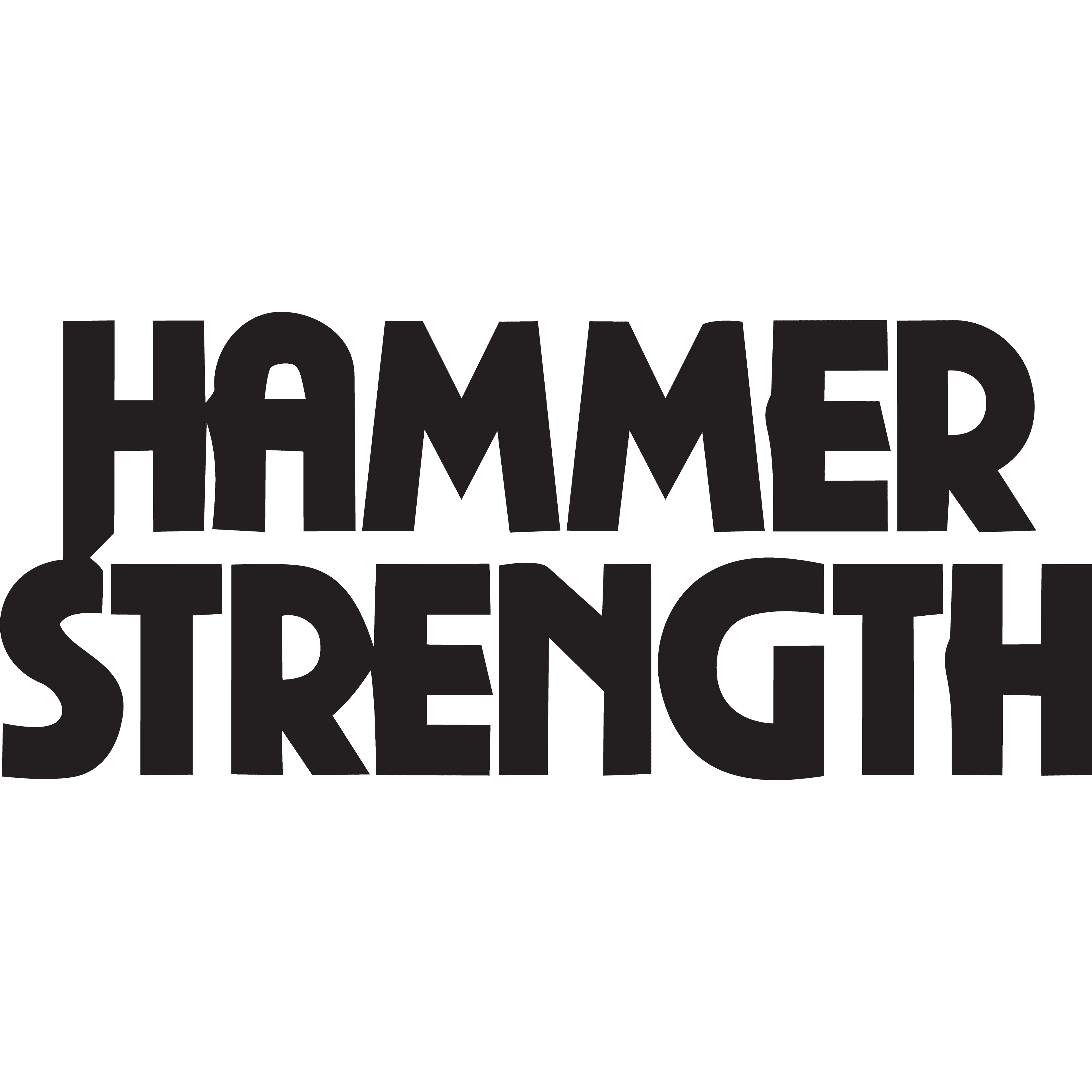 Hammer Strength equipment brand logo — ZOR Fitness facility partners, Denver CO