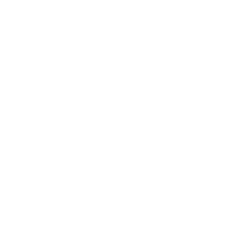 Rogue Fitness equipment brand logo — ZOR Fitness facility partners, Denver CO