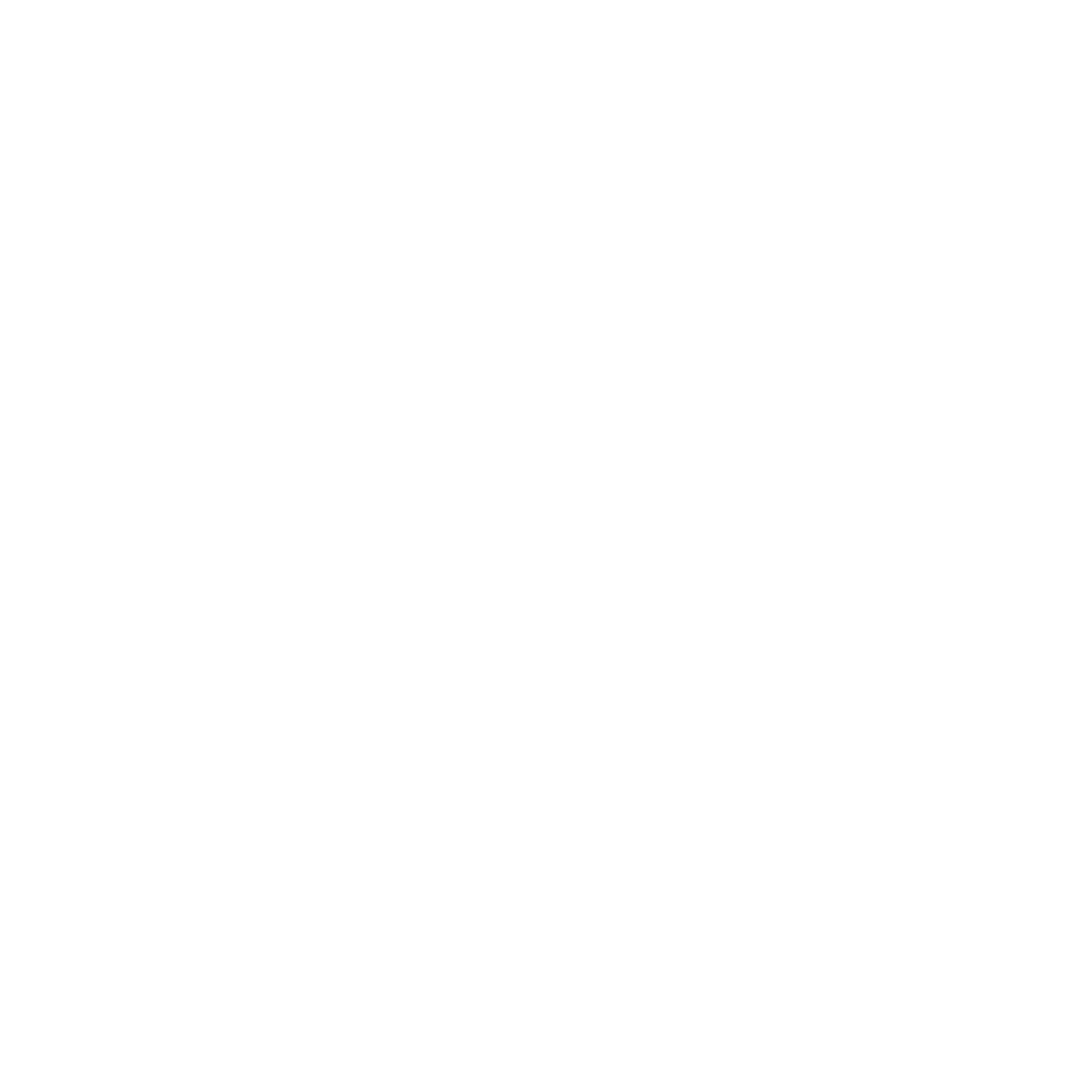 Texas Strength Systems equipment brand logo — ZOR Fitness facility partners, Denver CO